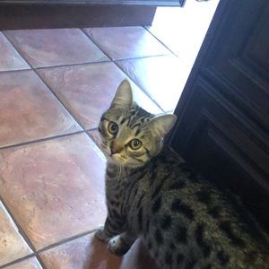 Meet your Posher, Josée